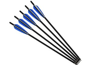 Fiberglass Arrows4